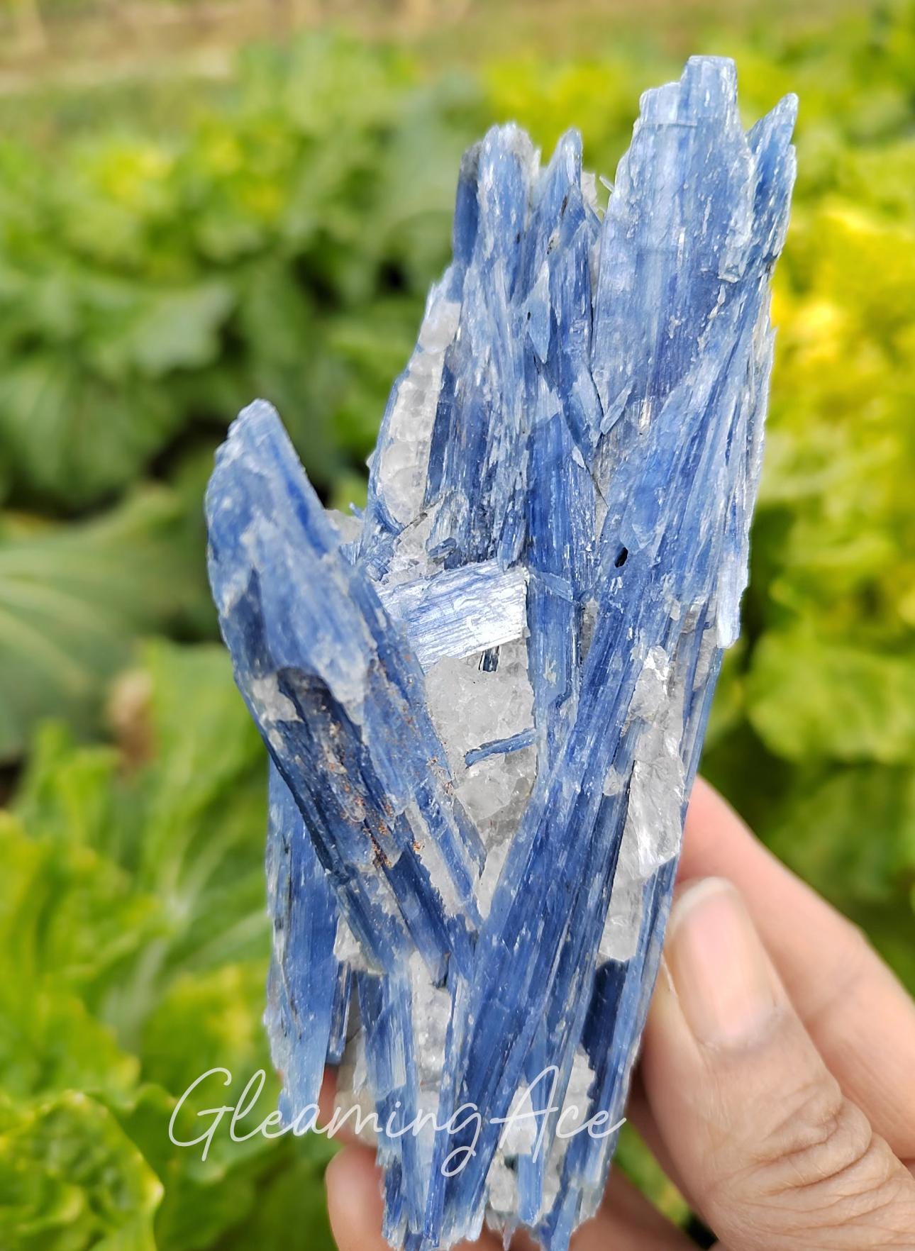 Natural Blue Kyanite Crystal, Raw Kyanite Specimen Kyanite Cluster Home Decor
