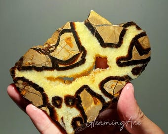 Natural Dragon Septarian Slab Yellow Calcite Fossil Slice