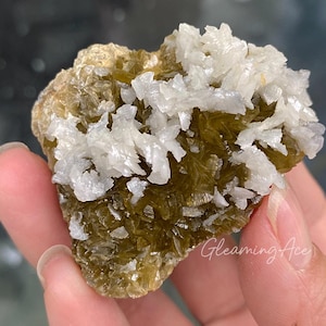 May include: A natural mineral specimen featuring a cluster of white, crystalline formations atop a base of olive-green crystals. The mineral is held in a hand, showcasing its texture and color variations.