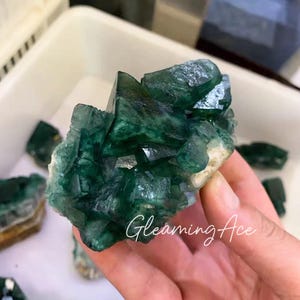 May include: A cluster of vibrant green fluorite crystals. The crystals have a cubic structure and a translucent appearance, with variations in color intensity. The image shows the natural formation of the mineral, with a few other fluorite pieces in the background.