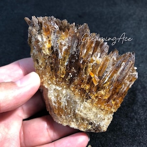May include: A cluster of golden brown crystals with a rough, textured surface. The crystals are arranged in a fan shape and have a translucent appearance.