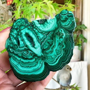 2.75&quot;+ Natural Malachite Slab, Malachite Crystal Slab Specimen