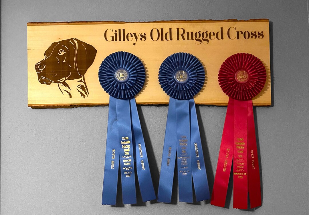 Custom Dog Ribbon Display Rosette Display Award Display Etsy