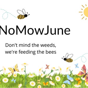 PRINTABLE - No Mow June | Feeding the Bees | Instant Download