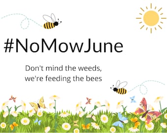 IMPRIMIBLE - No Mow June / Alimentando a las abejas / Descarga instantánea
