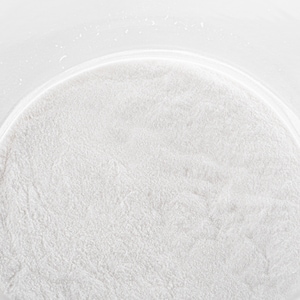 Sodium Benzoate 5 lb.