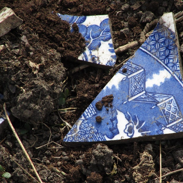 Broken Tile _ Blue and White _ China Plate