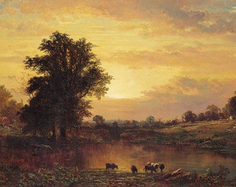 Beautiful sunset