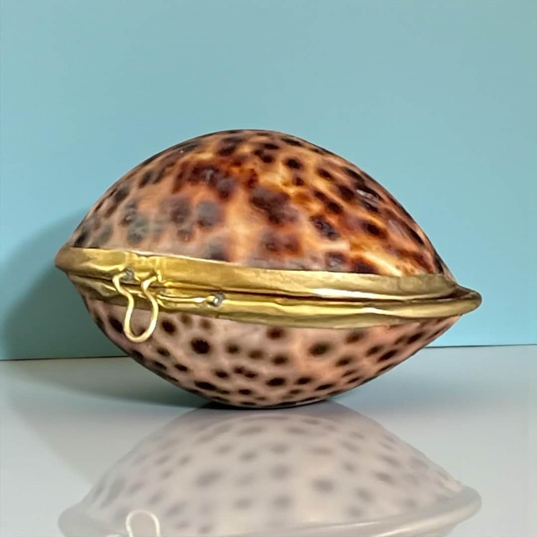 Vintage Brass-hinged Tiger Cowrie Shell Trinket Box - Etsy