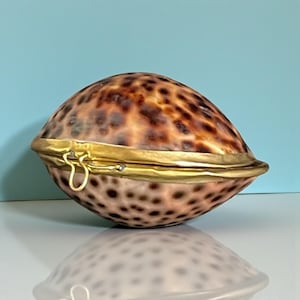 Vintage Brass-Hinged Tiger Cowrie Shell Trinket Box
