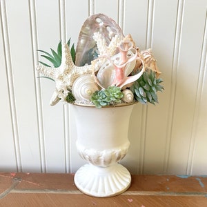 以下が含まれることがあります： 貝殻、ヒトデ、多肉植物で満たされた白い陶器の壺。壺は金色の縁取りと溝のある底があります。