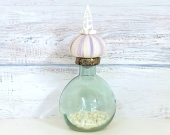 Shell Bottle, Beach Decor,Sea Urchin, Shell Art, Ocean Lover's Gift