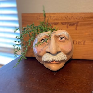 May include: A ceramic planter shaped like a man's face with a white mustache and a small green plant growing out of the top.