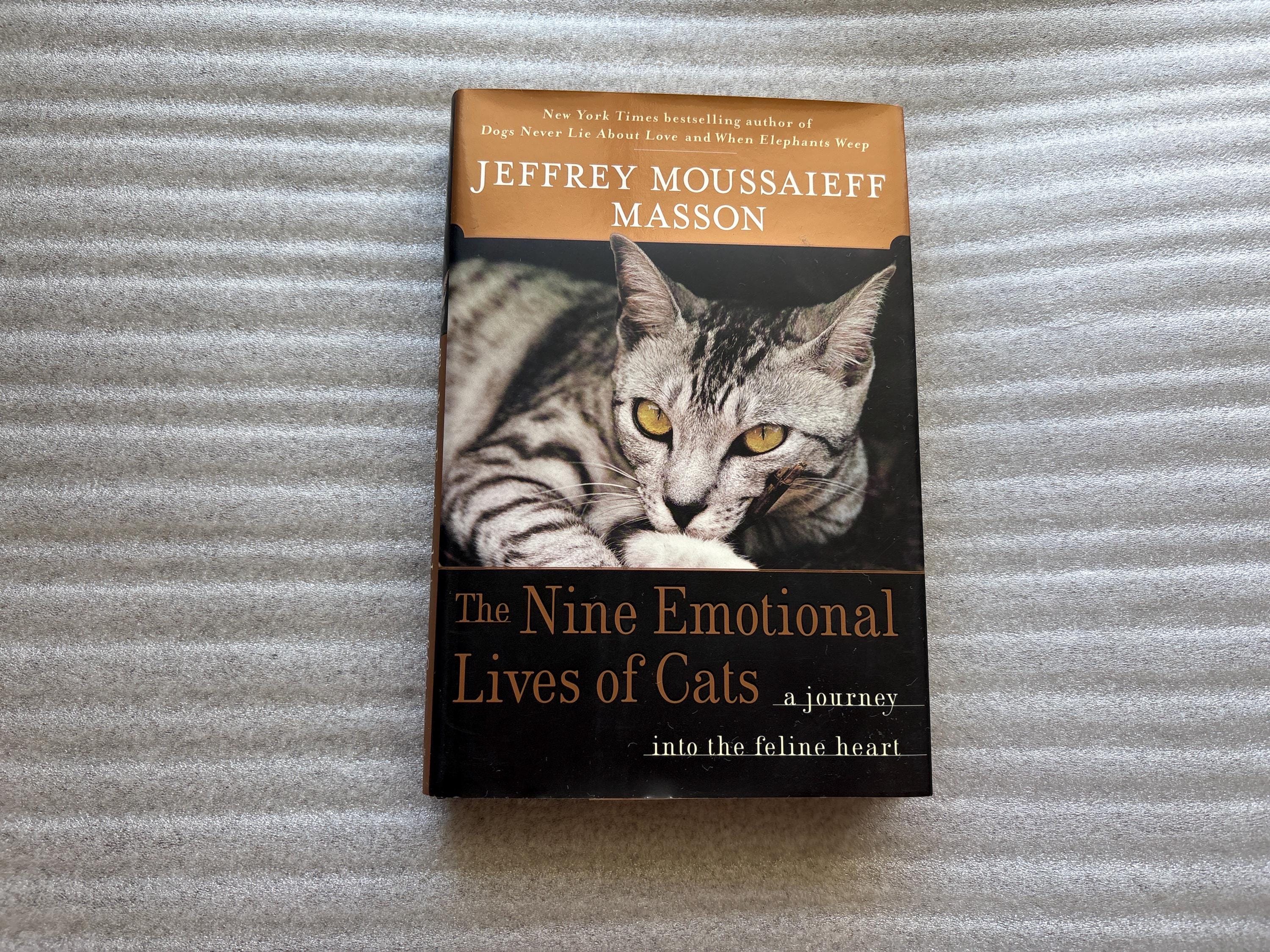Books Cats Life is Good - Etsy