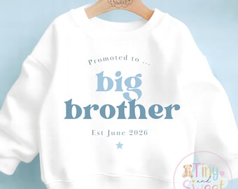 Promoted to Big Brother Sweatshirt - Pregnancy Announcement T Shirt, New Sibling Gift
