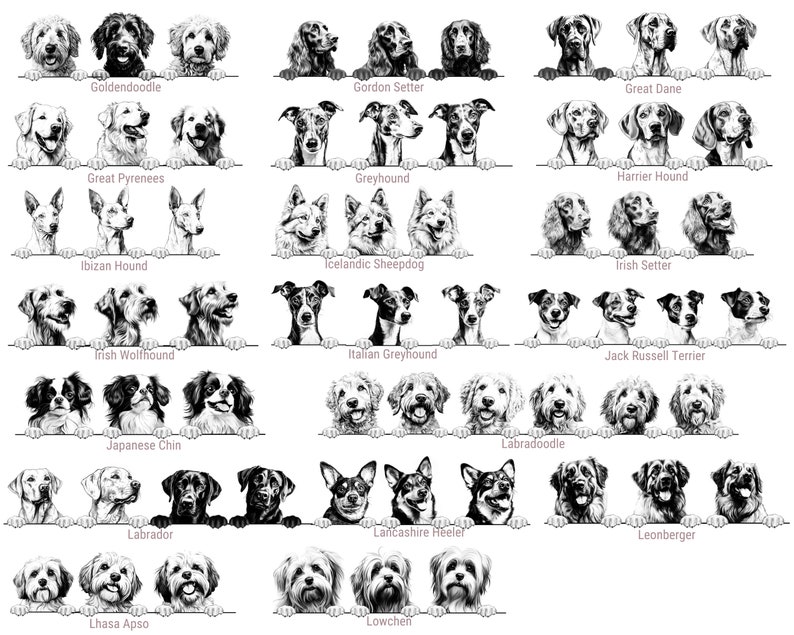 Puede incluir: Una colecci&oacute;n de ilustraciones en blanco y negro que muestran varias razas de perros, incluyendo Goldendoodle, Gordon Setter, Great Dane, Great Pyrenees, Greyhound, Harrier Hound, Ibizan Hound, Icelandic Sheepdog, Irish Setter, Irish Wolfhound, Italian Greyhound, Jack Russell Terrier, Japanese Chin, Labradoodle, Labrador, Lancashire Heeler, Leonberger, Lhasa Apso y Lowchen.