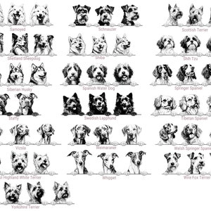 Puede incluir: Una colecci&oacute;n de ilustraciones en blanco y negro que muestran varias razas de perros, incluyendo Samoyedo, Schnauzer, Terrier escoc&eacute;s, Pastor de las Shetland, Shiba, Shih Tzu, Husky siberiano, Perro de agua espa&ntilde;ol, Springer spaniel, Staffy, Lapphund sueco, Spaniel tibetano, Vizsla, Weimaraner, Springer spaniel gal&eacute;s, West Highland White Terrier, Whippet, Fox terrier de pelo duro y Yorkshire Terrier.