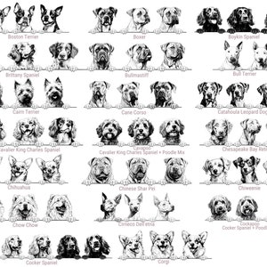Puede incluir: Una colecci&oacute;n de ilustraciones en blanco y negro que muestran varias razas de perros, incluyendo Boston Terrier, Boxer, Boykin Spaniel, Brittany Spaniel, Bullmastiff, Bull Terrier, Cairn Terrier, Cane Corso, Catahoula Leopard Dog, Cavalier King Charles Spaniel, Cavapoo, Chesapeake Bay Retriever, Chihuahua, Chinese Shar Pei, Chiweenie, Chow Chow, Cirneco Dell'Etna, Cockapoo, Cocker Spaniel y Corgi.