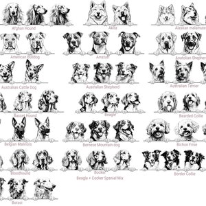 Puede incluir: Una colecci&oacute;n de ilustraciones en blanco y negro de varias razas de perros, cada una representada asom&aacute;ndose sobre una l&iacute;nea horizontal. Las razas est&aacute;n etiquetadas con texto que incluye Afghan Hound, Akita, Alaskan Malamute, American Bulldog, Amstaff, Anatolian Shepherd, Australian Cattle Dog, Australian Shepherd, Australian Terrier, Basset Hound, Beagle, Bearded Collie, Belgian Malinois, Bernese Mountain dog, Bichon Frise, Bloodhound, Bocker, Border Collie y Borzoi.