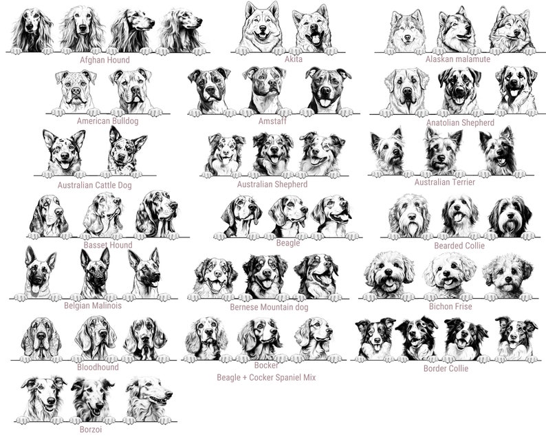 Puede incluir: Una colecci&oacute;n de ilustraciones en blanco y negro de varias razas de perros, cada una representada asom&aacute;ndose sobre una l&iacute;nea horizontal. Las razas est&aacute;n etiquetadas con texto que incluye Afghan Hound, Akita, Alaskan Malamute, American Bulldog, Amstaff, Anatolian Shepherd, Australian Cattle Dog, Australian Shepherd, Australian Terrier, Basset Hound, Beagle, Bearded Collie, Belgian Malinois, Bernese Mountain dog, Bichon Frise, Bloodhound, Bocker, Border Collie y Borzoi.