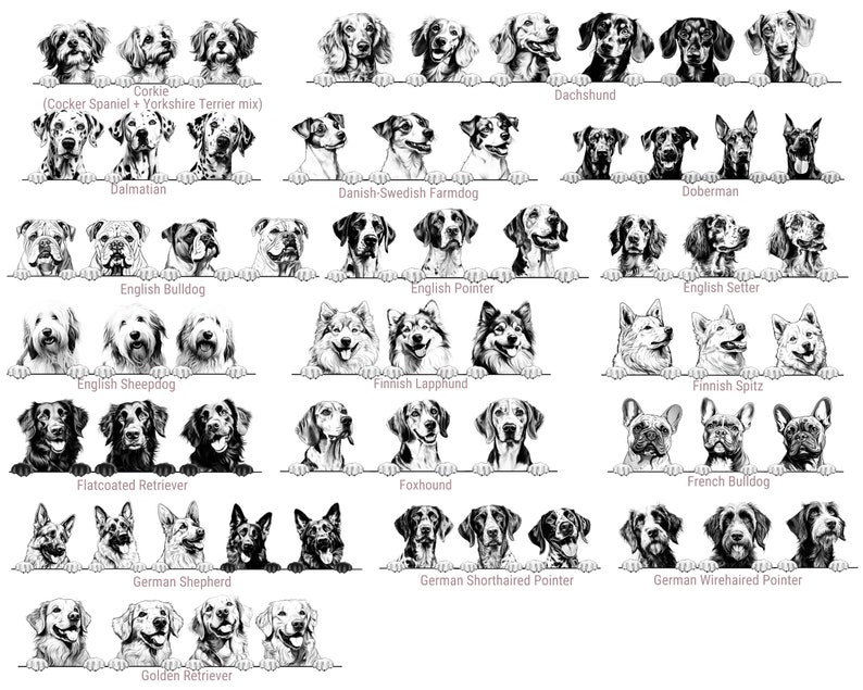 Puede incluir: Una colecci&oacute;n de ilustraciones en blanco y negro que muestran varias razas de perros, incluyendo Corkie, Dachshund, D&aacute;lmata, Doberman, Bulldog ingl&eacute;s, Pointer ingl&eacute;s, Setter ingl&eacute;s, Pastor ingl&eacute;s, Lapphund finland&eacute;s, Spitz finland&eacute;s, Retriever de pelo liso, Foxhound, Bulldog franc&eacute;s, Pastor alem&aacute;n, Pointer alem&aacute;n de pelo corto, Pointer alem&aacute;n de pelo duro y Golden Retriever.