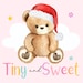 TinyAndSweetClothing store logo