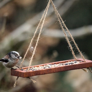 Hanging Bird Feeder Table – Ready Gift for Bird Lovers. Personalized Wishes, Wall/Window Mount, Eco-Friendly Garden Decor