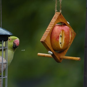 Spring Fruit Casita Bird Feeder