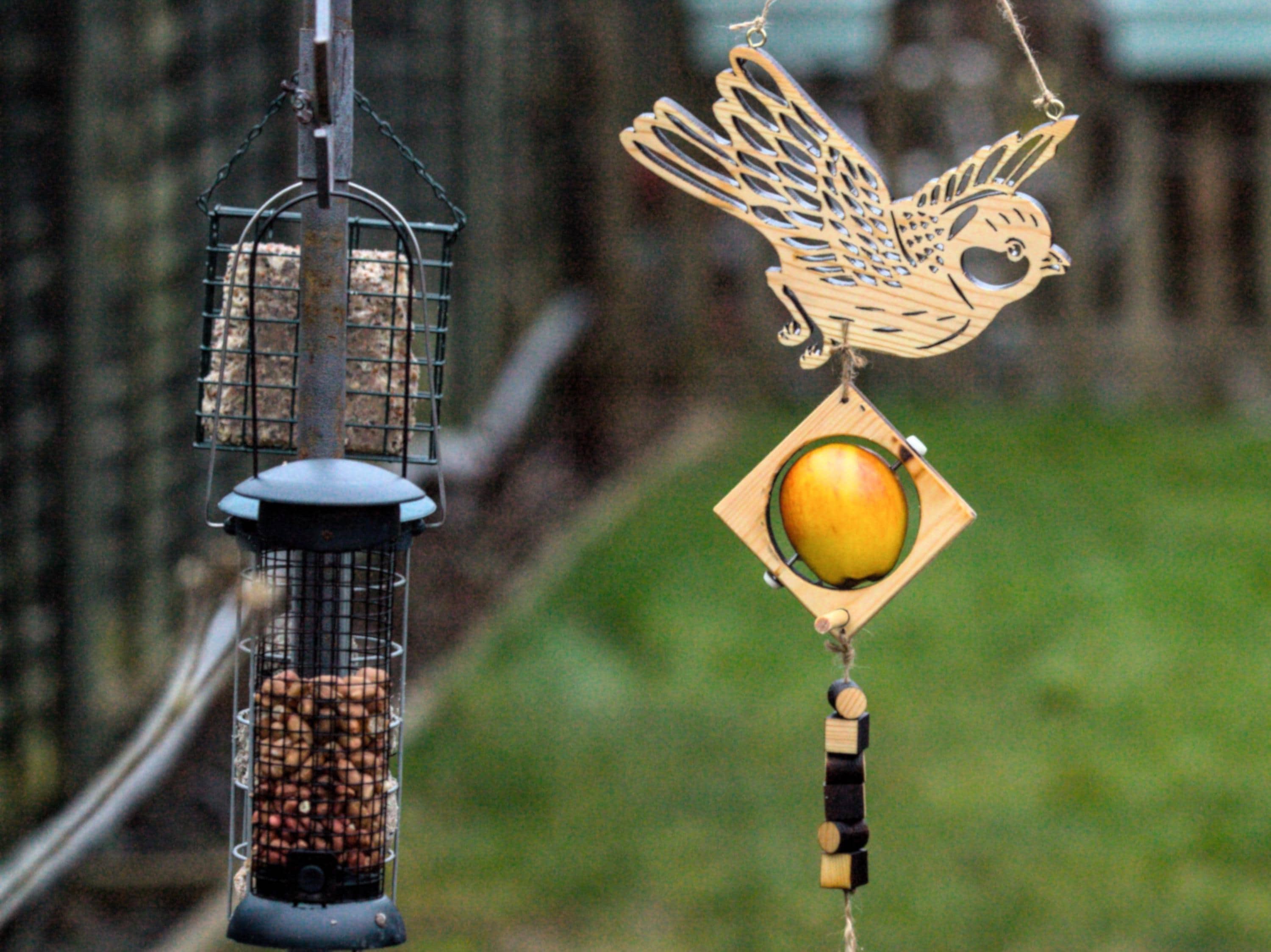 Wbu Bird Food Supplies Near Me Buy Suet Online In India India