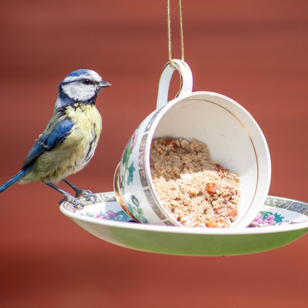 Mangeoire pour oiseaux - Tasse à thé et soucoupe, percées et boulonnées. Idéal pour le jardin et le balcon