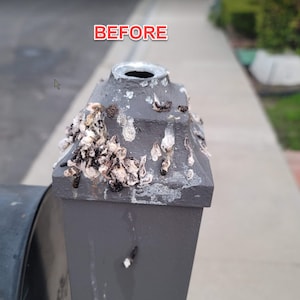 Custom Bird Spike - Deterrants