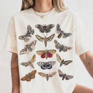 Comfort Colors Moth Illustrations Shirt : Mirrored Vintage Illustrations Entomology Tee Ivory