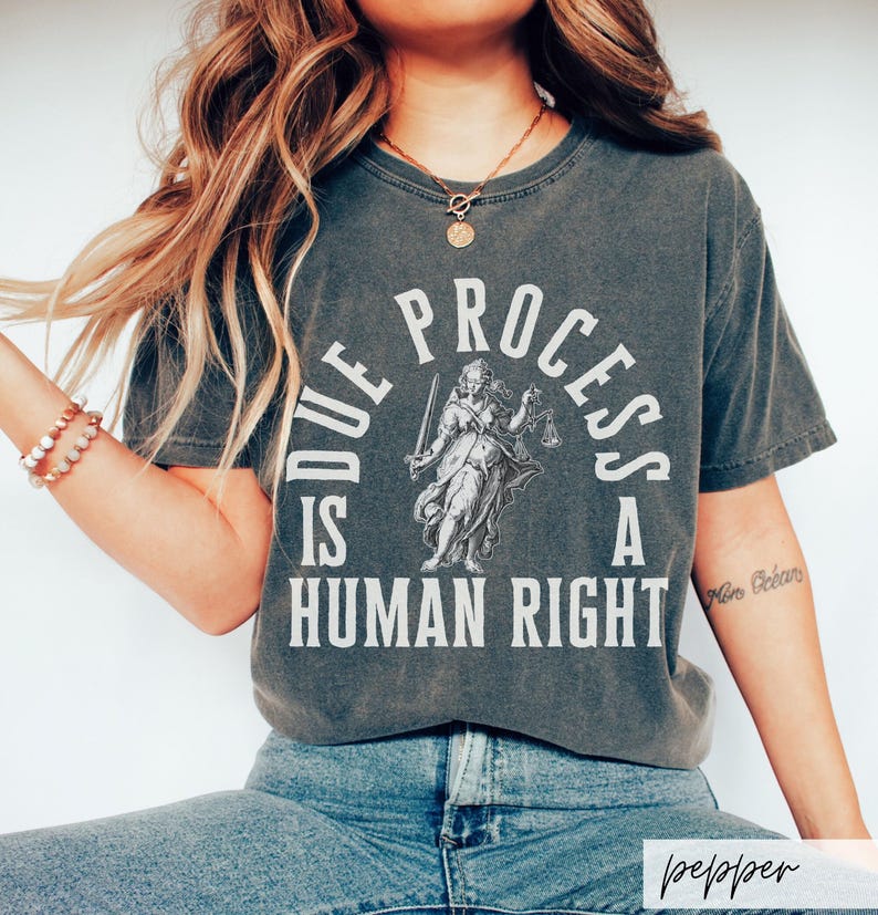 May include: A gray t-shirt with a vintage-style graphic of a woman holding scales and a sword. The text "Due Process is a Human Right" is printed in white around the graphic.