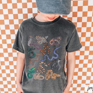Pode incluir: Uma camiseta cinza escura com uma estampa colorida de v&aacute;rias cobras. As cobras est&atilde;o em diferentes poses e cores, incluindo verde, vermelho, laranja e preto.