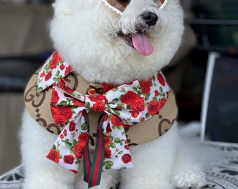 Dog fashion, Bichon dogs capes,  all dog Capes, Spring style, trendy capes, Pets accessories, Pet clothing, Boujee dogs, dog influencer