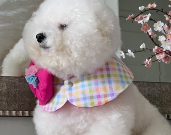 Spring season, Easter cape, bunny, personalized cape, Bichon dog cape, dog Cape, Dog Fashion, Gift for pet, Dog mom, pet mom, gift for dog