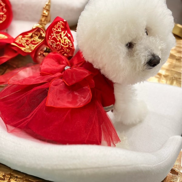Dress for Dog, Pet Gifts, New Year dress, holiday dress, Lunar Year dress.  Gift for pet, dog fashion, Bichon dogs dress,  Pet clothing
