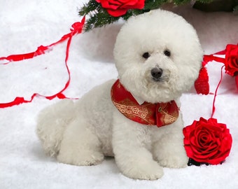 Dog capes, Pet Gifts, Chinese New Year capes, Lunar Year capes, Cape for pets, dog fashion, Bichon dogs capes, all dog Capes, Pet clothing