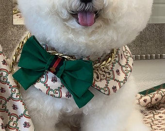 Dog fashion, Bichon dogs capes,  all dog Capes, Spring style,  Dog Cloaks,  trendy capes, Pets accessories, Pet clothing, Boujee dogs