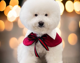 Fall dog fashion, Bichon dogs capes,  all dog Capes, Holiday capes,  Dog Cloaks,  fall capes, Pet clothing, pet capes, Christmas capes