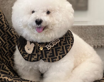 Dog fashion, Bichon dogs capes,  all dog Capes, Spring style,  Dog Cloaks,  trendy capes, Pets accessories, Pet clothing, Boujee dogs