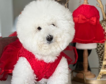 Dress for Dog, Pet Gifts, New Year dress, holiday dress, Lunar Year dress.  Gift for pet, dog fashion, Bichon dogs dress,  Pet clothing