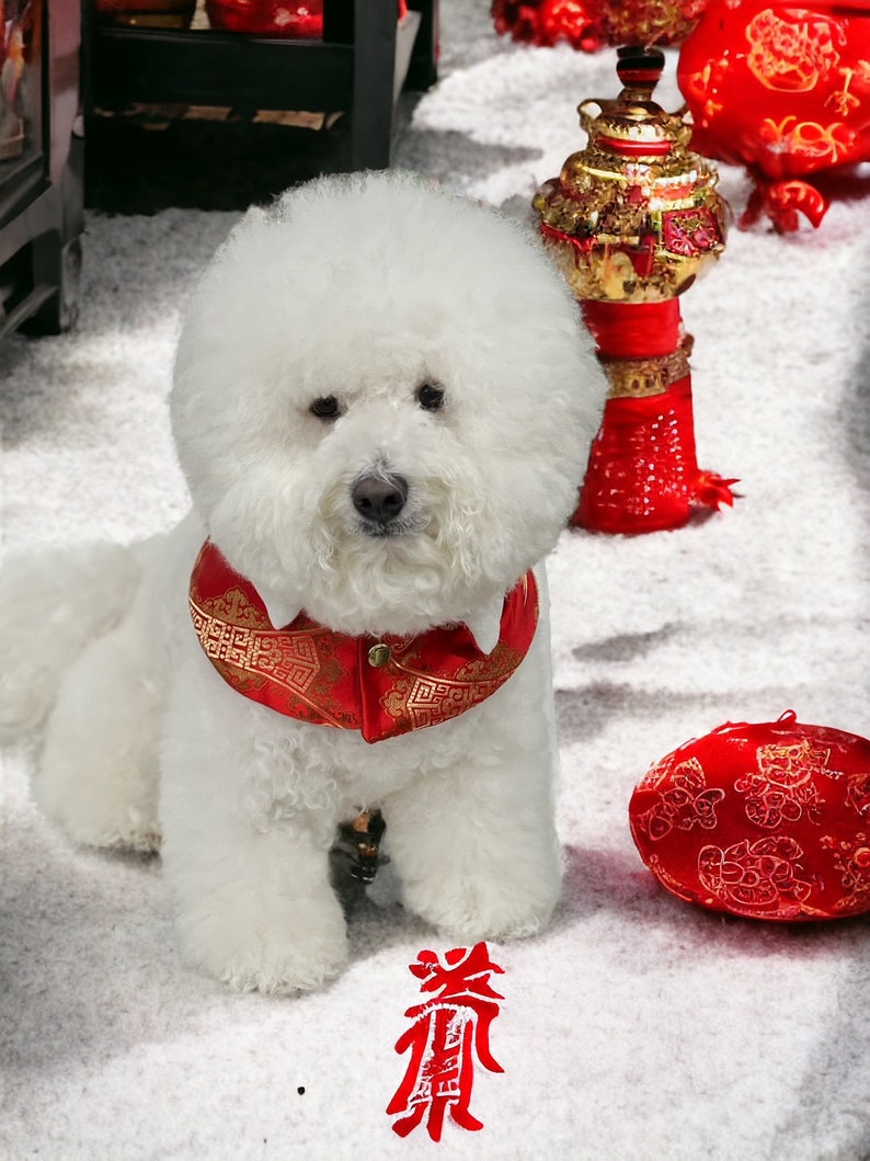 Dog capes, Pet Gifts, Chinese New Year capes, Lunar Year capes, Cape for pets, dog fashion, Bichon dogs capes, all dog Capes, Pet clothing image 3