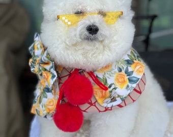 Dog fashion, Bichon dogs capes,  all dog Capes, Spring style, trendy capes, Pets accessories, Pet clothing, Boujee dogs, dog influencer