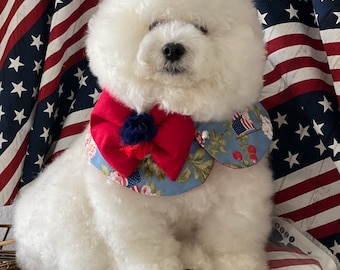 Gift for dog, independence day, fourth of July, pet gift, dog mom, fourth of July cape, fourth of July bandana, bichon dog cape, pet cape