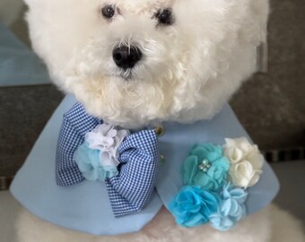 Spring season, Bichon dog cape, dog Cape, Dog Fashion, Gift for pet, Dog mom, pet mom, gift for dog, cape with bow.