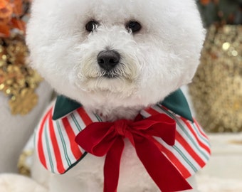 Dogs fashion, Bichon dogs capes,  all dog Capes, Holiday capes,  Dog Cloaks,  fall capes, Pet clothing, pet capes, Christmas capes