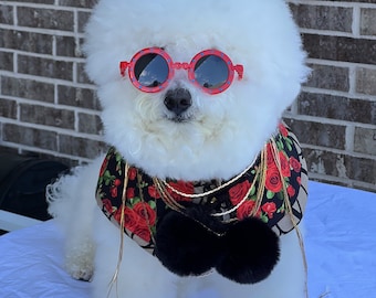 Dog fashion, Bichon dogs capes,  all dog Capes, Spring style, trendy capes, Pets accessories, Pet clothing, Boujee dogs, dog influencer