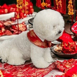 Dog capes, Pet Gifts, Chinese New Year capes, Lunar Year capes, Cape for pets, dog fashion, Bichon dogs capes, all dog Capes, Pet clothing image 4
