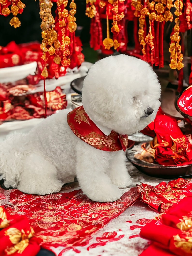 Dog capes, Pet Gifts, Chinese New Year capes, Lunar Year capes, Cape for pets, dog fashion, Bichon dogs capes, all dog Capes, Pet clothing image 4